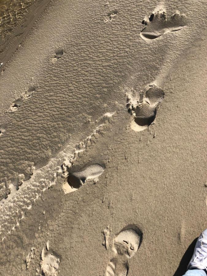 Opale Baie Lägenhet Berck Exteriör bild